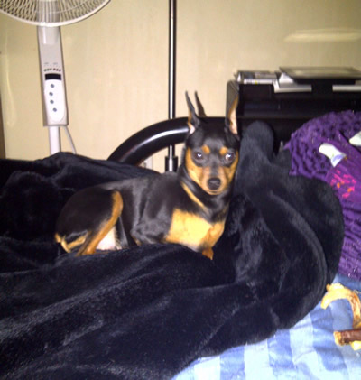 Dede